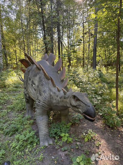 Зерно.Ячмень, пшеница