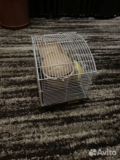 Клетка для хомяка бу