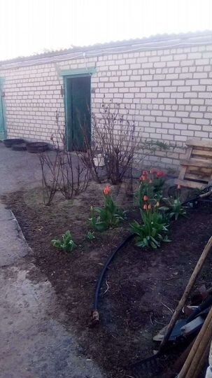 Дом 69,4 м² на участке 100 сот.