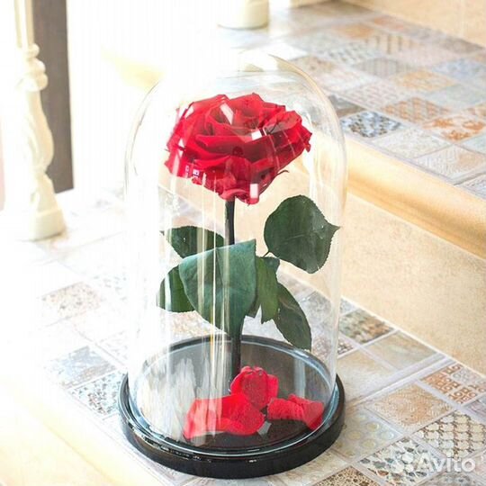 Роза в колбе. Качественная