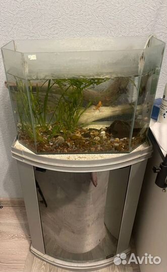 Аквариум с тумбой без содержимого