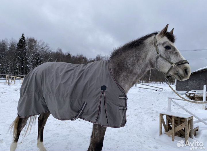 Дождевая попона Loesdau