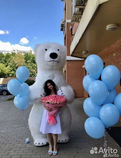 Белый медведь аниматор