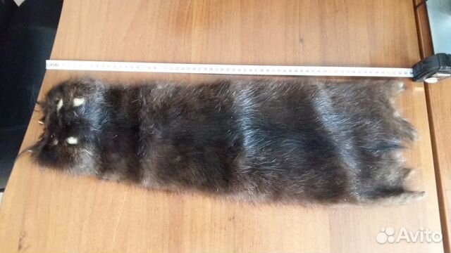 Шкурка нутрии (чулок)