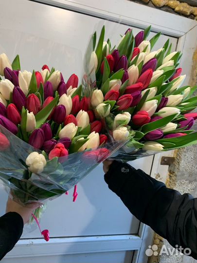 Тюльпаны к 8 марта