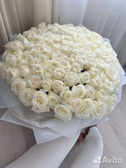 Большой букет из роз (101/201/301/501/1001)