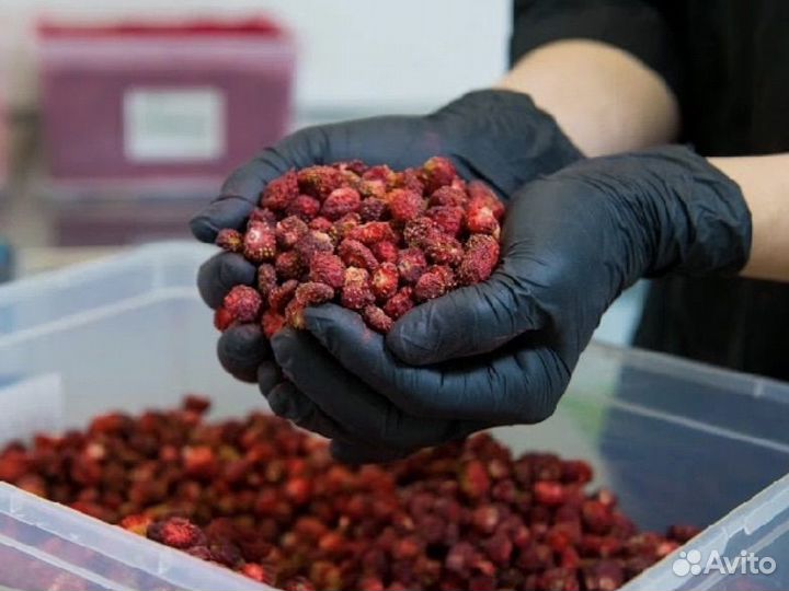 Чай для кафе и ресторанов/ сауны бани оптом