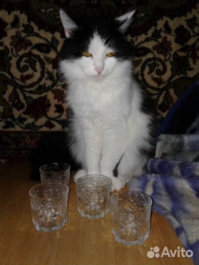 Стопки хрусталь 4 шт. винтаж СССР