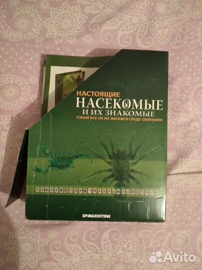 Насекомые и их знакомые