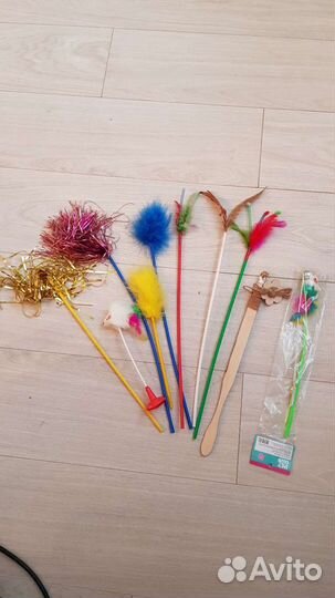 Принадлежности для котят