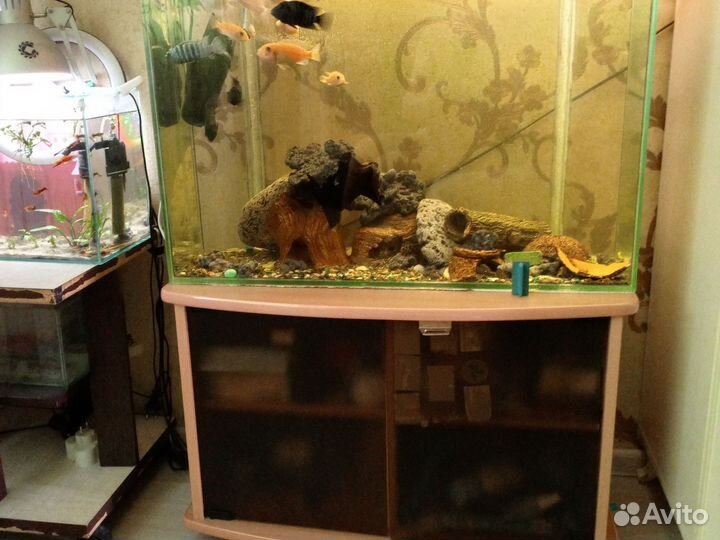 Аквариум