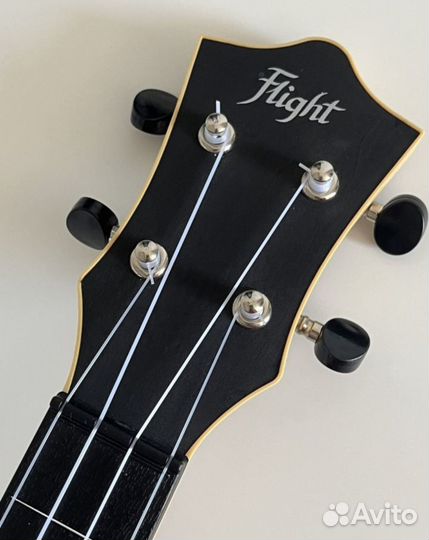 Укулеле flight концерт