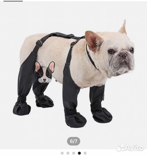 Ботики для собак на подтяжках