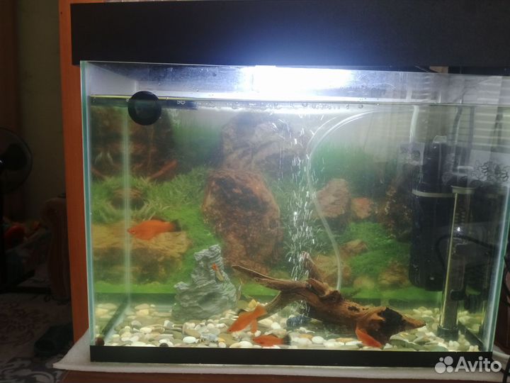 Аквариум