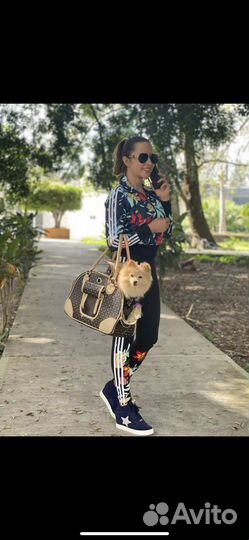 Переносная сумка для кошки или собаки