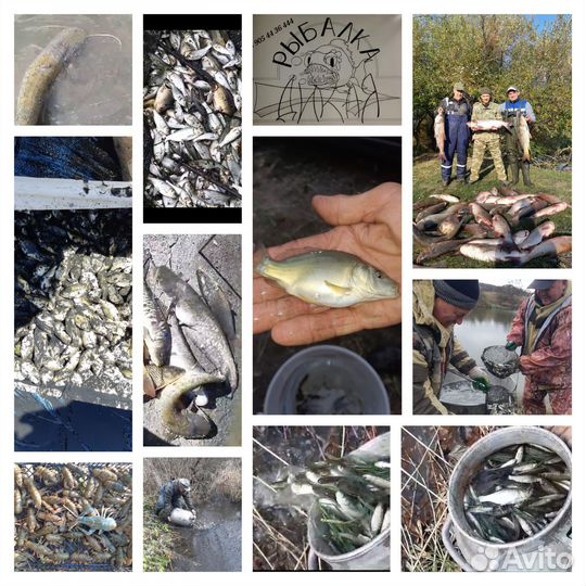 Рыбалка озеро