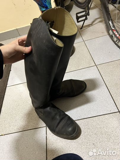 Недоуздок для лошади