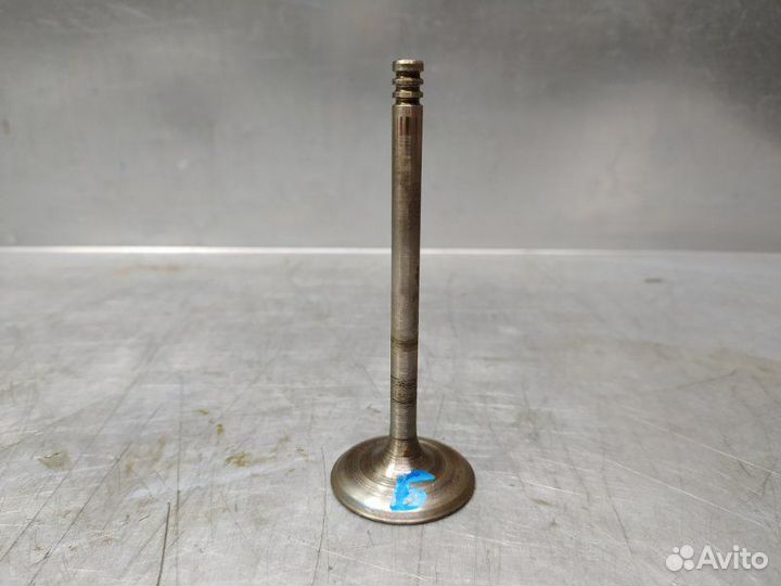 Пружина клапана Volksawagen Sharan 1995-1999