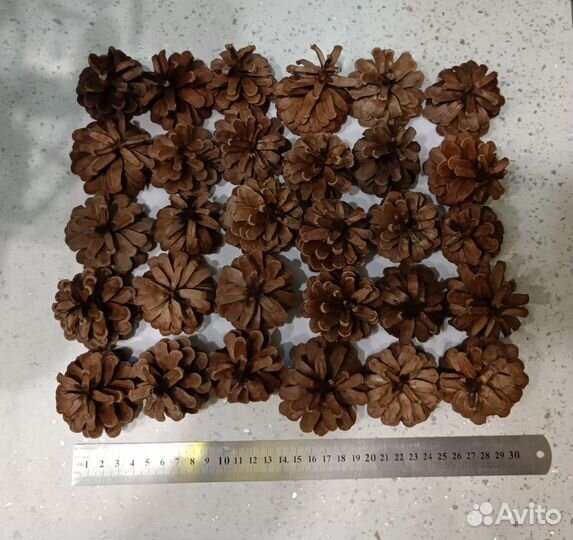 Природные материалы, набор для творчества