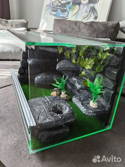 Террариум для рептилий