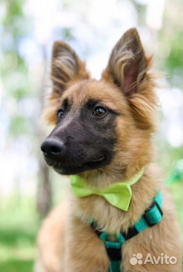 Забери меня домой