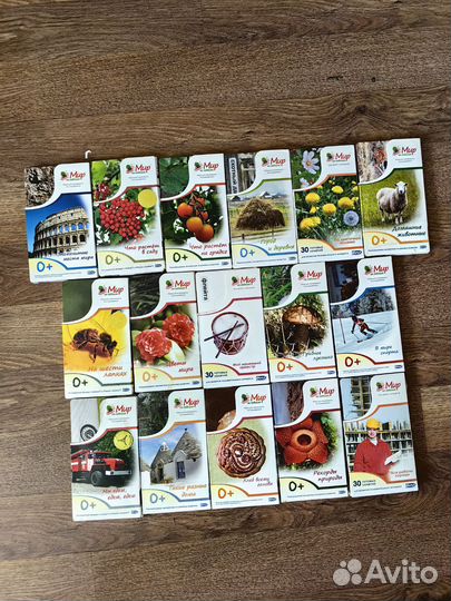 Умница мир на ладошке