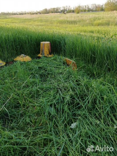 Сено разнотравие