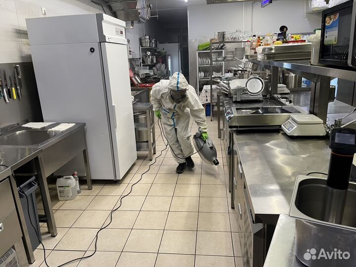 Уничтожение клопов, тараканов, мышей