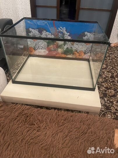 Аквариум террариум