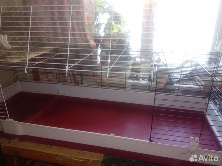 Большая клетка для домашнего кролика