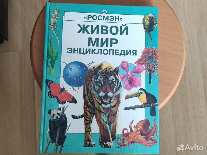 Большая энциклопедия 6 штук о разном