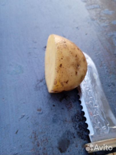 Продам картофель едовой