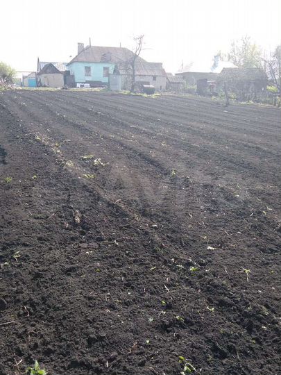 Дом 80 м² на участке 40 сот.