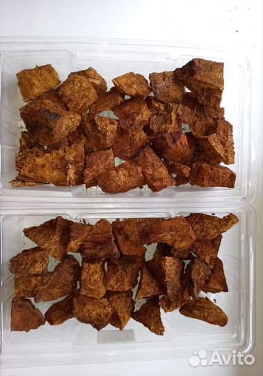 Березовый гриб чага