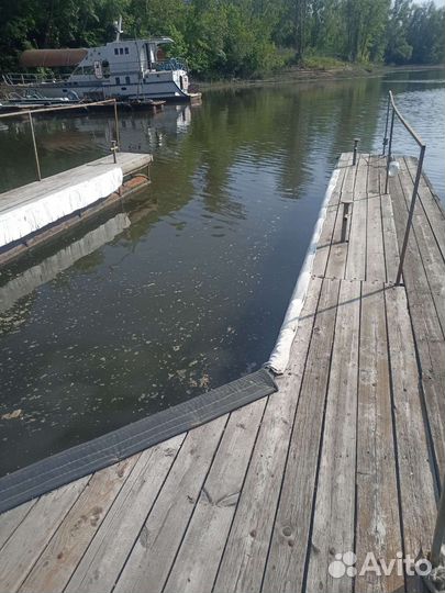 Паук -пантон