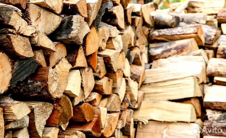 Дрова на выбор
