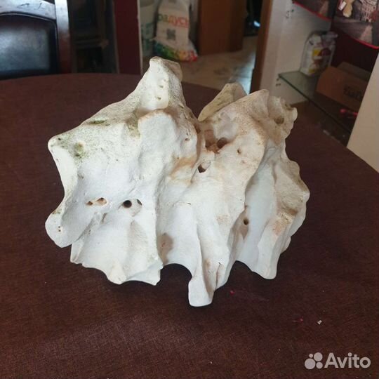 Камень для аквариума