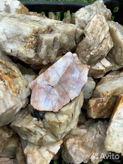 Лунный камень (беломорит)