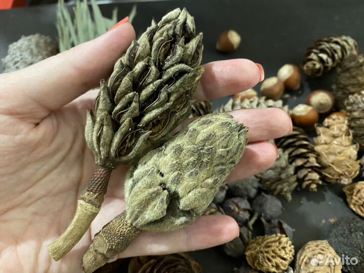 012- природных материалов