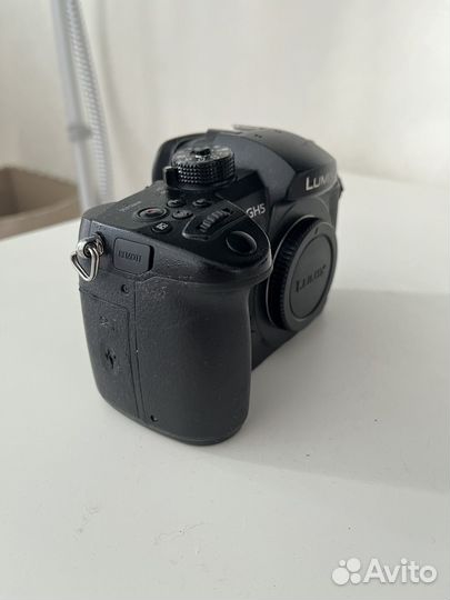 Panasonic gh5