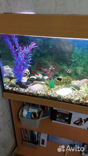 Аквариум juwel Rio 125 л с тумбой