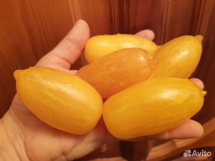 Семена вкусных помидор не гибриды