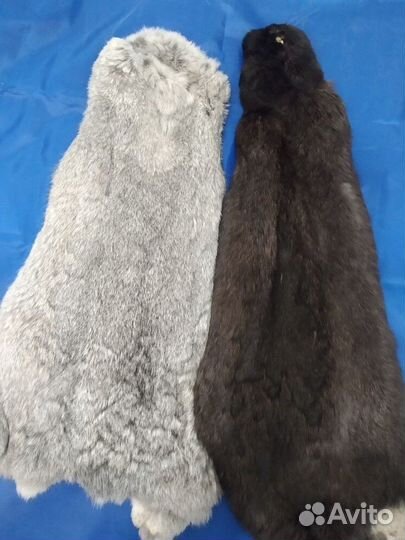 Продам мех кролика