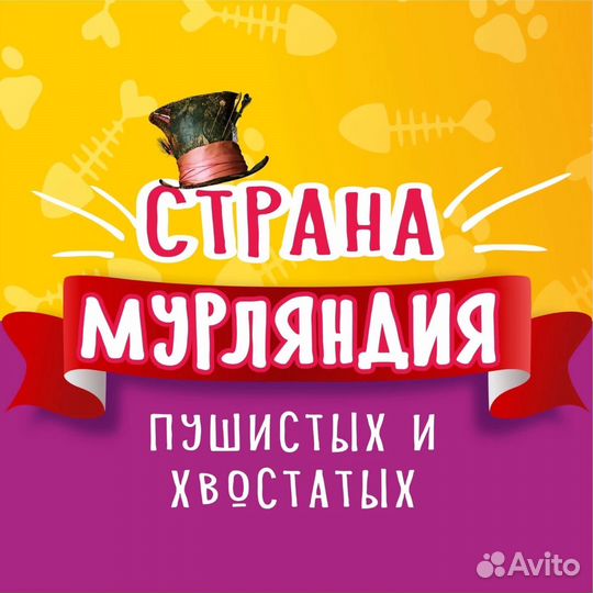 Помощник директора выставки