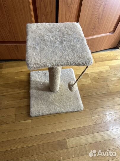 Когтеточка для кошек