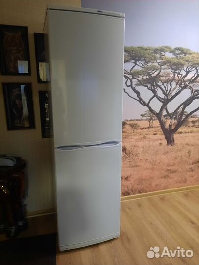 Холодильник Атлант двухкамерный