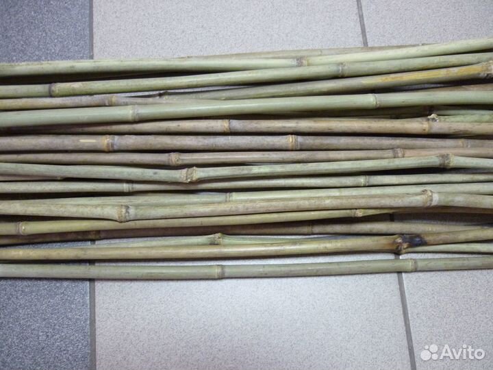 Продам вязанку бамбуковых прутьев