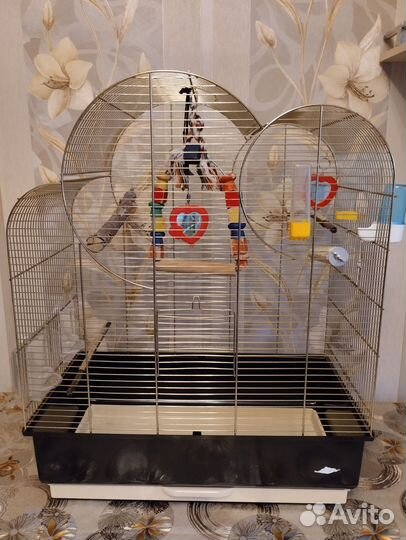 Клетка для попугая корелла Ferplast 73 см*58*32