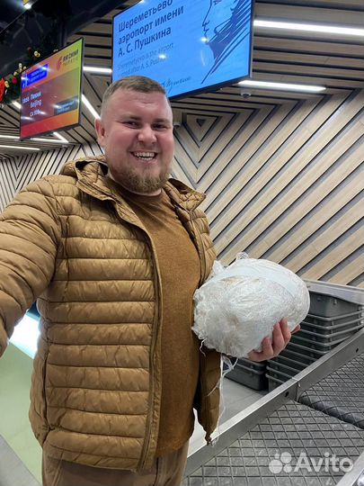 Помогу привлечь инвестиции в ваш бизнес от 50млн