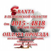 Вахта в Пензе Фасовщик/ца проезд жилье еда, Рамешки